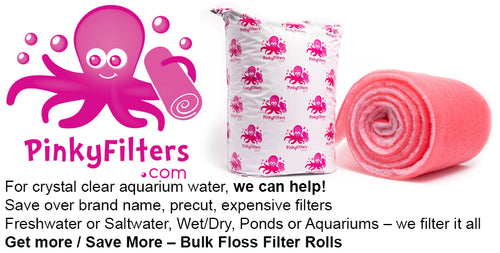 Pinkyfilters.com