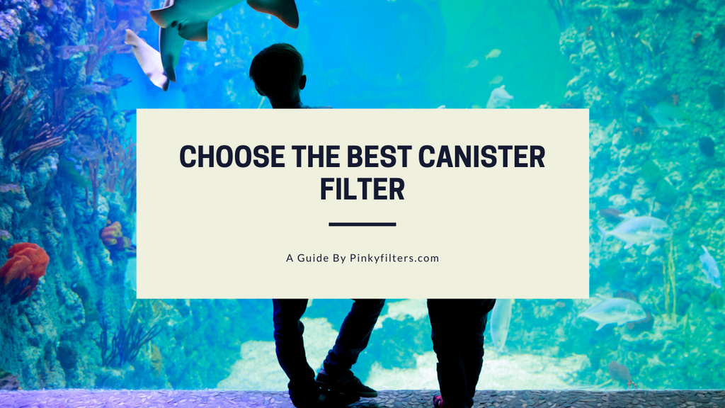 How to Choose the Best Canister Filter for Your Aquarium