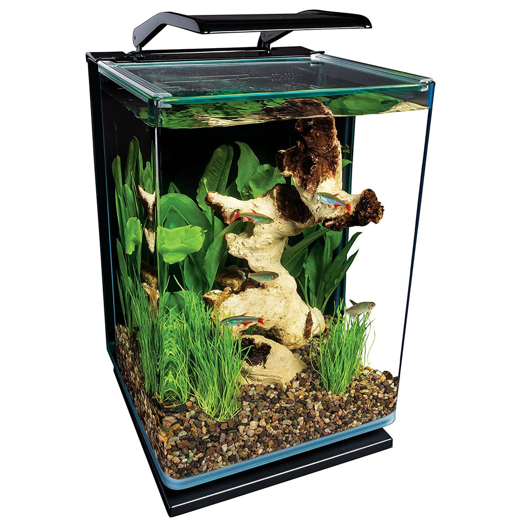 Care for an Acrylic Aquarium Kit