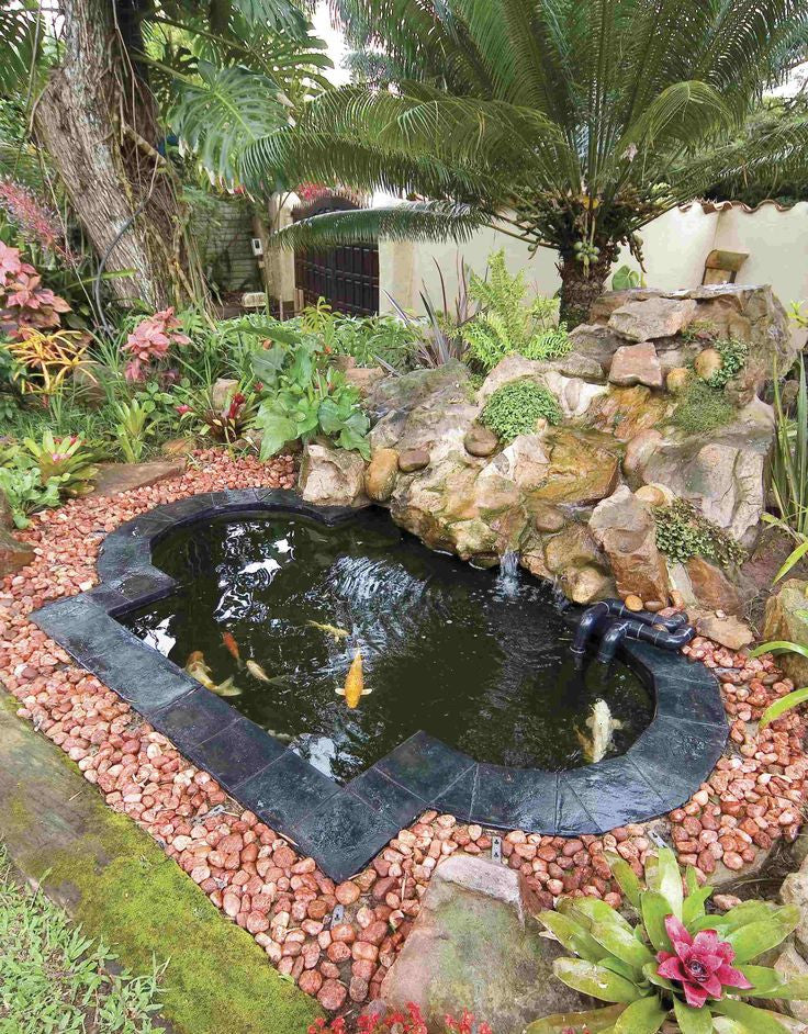 5 Steps to a Perfect Koi Pond